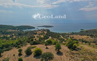 Αγροτεμάχια 10.126 τ.μ. για πώληση