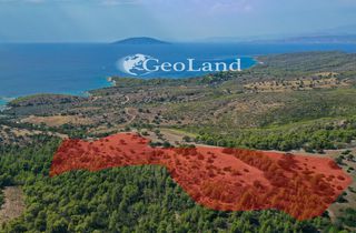 Αγροτεμάχια 10.126 τ.μ. για πώληση, Αργολίδα, Κρανίδι-thumb-6