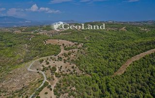 Αγροτεμάχια 10.126 τ.μ. για πώληση, Αργολίδα, Κρανίδι-thumb-14