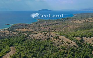 Αγροτεμάχια 10.126 τ.μ. για πώληση, Αργολίδα, Κρανίδι-thumb-10
