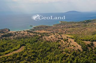 Αγροτεμάχια 10.126 τ.μ. για πώληση, Αργολίδα, Κρανίδι-thumb-3