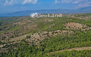 Αγροτεμάχια 10.126 τ.μ. για πώληση, Αργολίδα, Κρανίδι-thumb-12