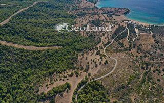Αγροτεμάχια 10.126 τ.μ. για πώληση, Αργολίδα, Κρανίδι-thumb-7
