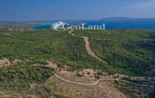 Αγροτεμάχια 10.126 τ.μ. για πώληση, Αργολίδα, Κρανίδι-thumb-16