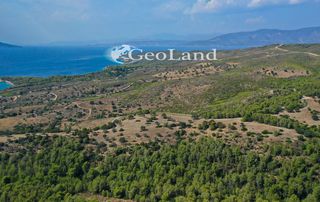 Αγροτεμάχια 10.126 τ.μ. για πώληση, Αργολίδα, Κρανίδι-thumb-11
