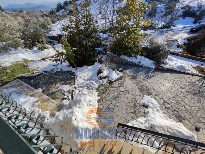 Μονοκατοικία 180 τ.μ. πρός πώληση, Αττική - Υπόλοιπο, Πολυδένδρι