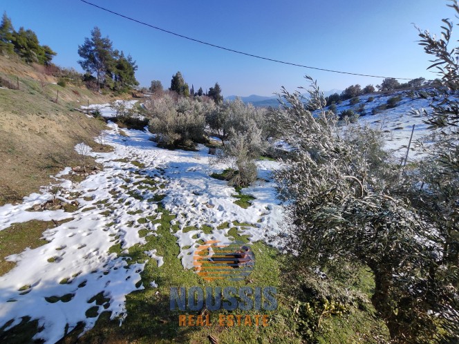 Μονοκατοικία 180 τ.μ. πρός πώληση, Αττική - Υπόλοιπο, Πολυδένδρι