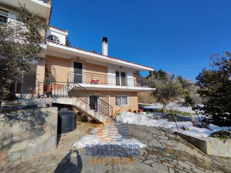 Detached home 180sqm for sale-Polidendri