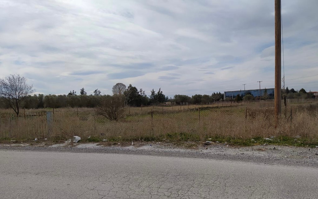 Αγροτεμάχια 1.880 τ.μ. προς πώληση, Νέο Ρύσιο