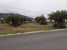 Οικόπεδο 753τ.μ. για πώληση-Μάνδρα » Νέα ζωή