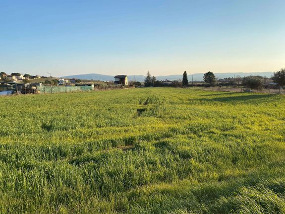 Αγροτεμάχια 7.650 τ.μ. για πώληση, Θεσσαλονίκη - Περιφ/Κοί Δήμοι, Θέρμη