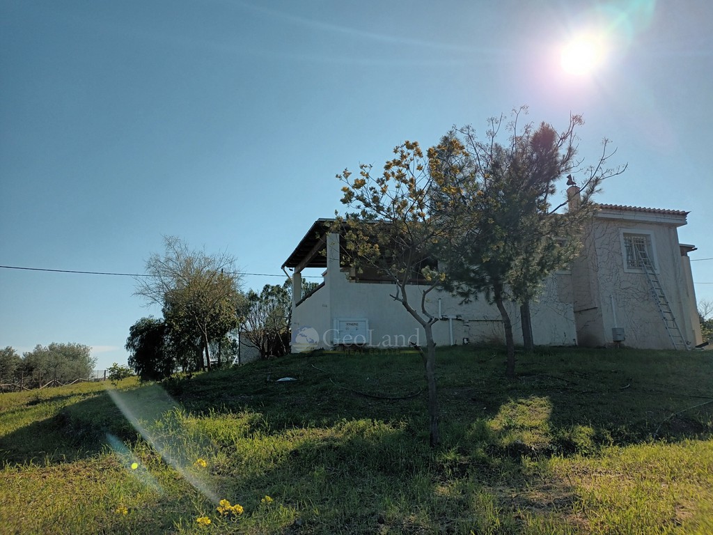 Μονοκατοικία 120 τ.μ. προς πώληση, Κινέτα Ερμιόνης