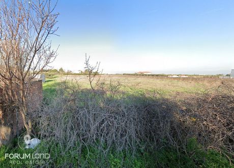 Parcel 15.776sqm for sale-Thermi » Neo Risio