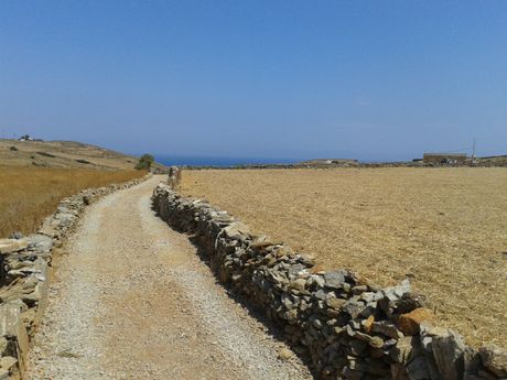 Αγροτεμάχια 10.043 τ.μ. προς πώληση