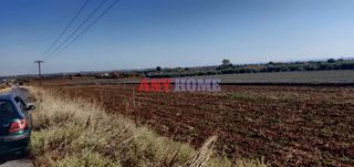 Αγροτεμάχια 14.770 τ.μ. για πώληση