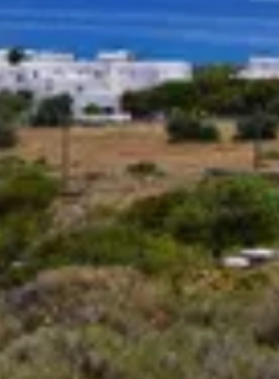 Οικόπεδο 56.000 τ.μ. προς πώληση, Γλυφάδες