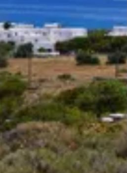 Land plot 56.000sqm for sale-Paros » Glifades