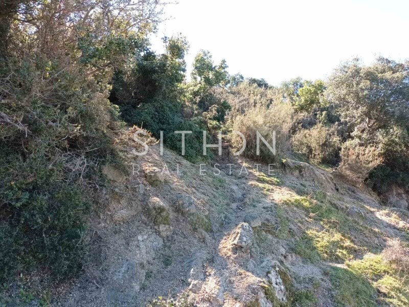 Οικόπεδο 500 τ.μ. προς πώληση, Σκάλα Συκέας