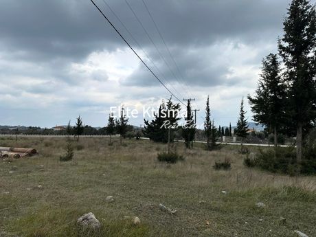 Αγροτεμάχια 13.280 τ.μ. για πώληση