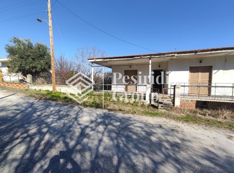 Μονοκατοικία 180τ.μ. για πώληση-Ελίμεια » Κάτω κώμη