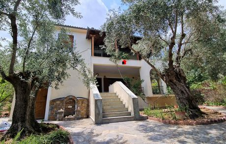 Συγκρότημα διαμερισμάτων 240τ.μ. για πώληση-Σούρπη » Νηές