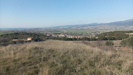 Αγροτεμάχια 6.000 τ.μ. για πώληση