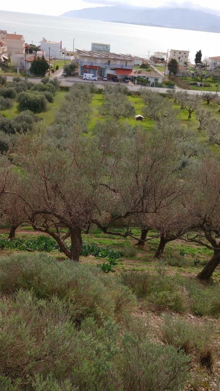 Οικόπεδο 3.748 τ.μ. πρός πώληση, Αιτωλοακαρνανία, Αντίρριο