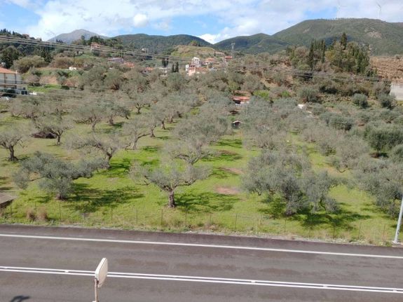 Οικόπεδο 7.496 τ.μ. για πώληση, Αιτωλοακαρνανία, Αντίρριο