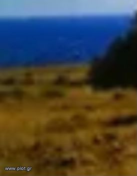 Οικόπεδο 11.700τ.μ. για πώληση-Σέριφος » Κουταλάς