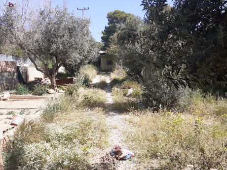 Land plot 920sqm for sale-Kalivia Thorikou » Lagonisi