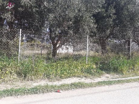 Land plot 512sqm for sale-Kalivia Thorikou » Lagonisi