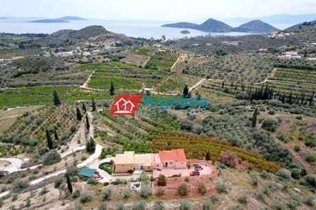Detached home 240sqm for sale-Asini » Center