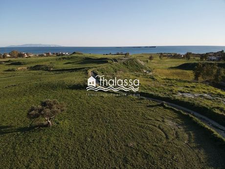 Land plot 10.000 sqm for sale