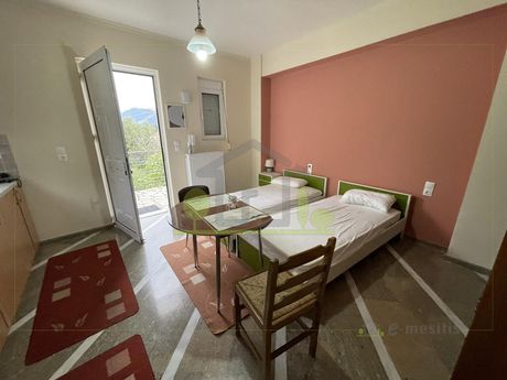 Studio 24 sqm for rent