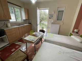 Studio / γκαρσονιέρα 24 τ.μ. προς ενοικίαση, Αρόη-thumb-2