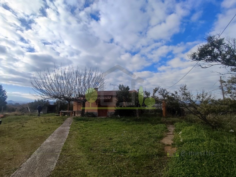 Οικόπεδο 19.412 τ.μ. προς πώληση, Αχαΐα, Φαρές