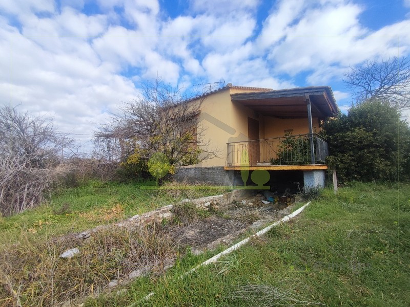 Οικόπεδο 19.412 τ.μ. προς πώληση, Αχαΐα, Φαρές