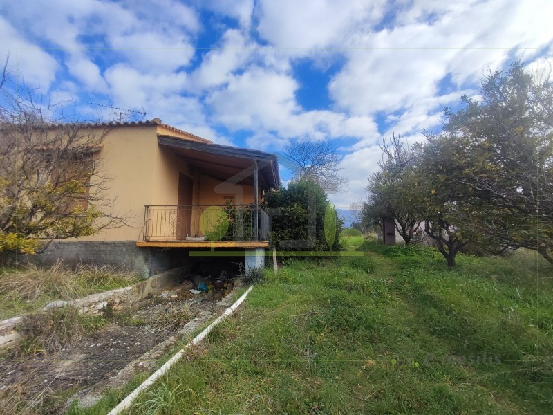 Οικόπεδο 19.412 τ.μ. προς πώληση, Αχαΐα, Φαρές