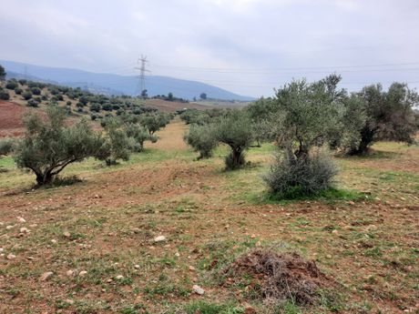 Parcel 4 sqm for sale