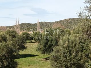 Αγροτεμάχια 943 τ.μ. για πώληση