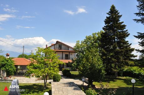 Detached home 280sqm for sale-Kozani » Lefkovrisi