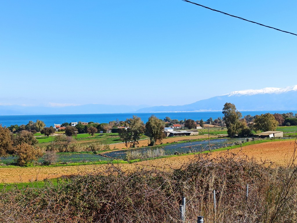 Οικόπεδο 4.002 τ.μ. προς πώληση, Αχαΐα, Λάρισσος