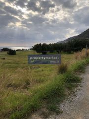 Οικόπεδο 3.840 τ.μ. για πώληση