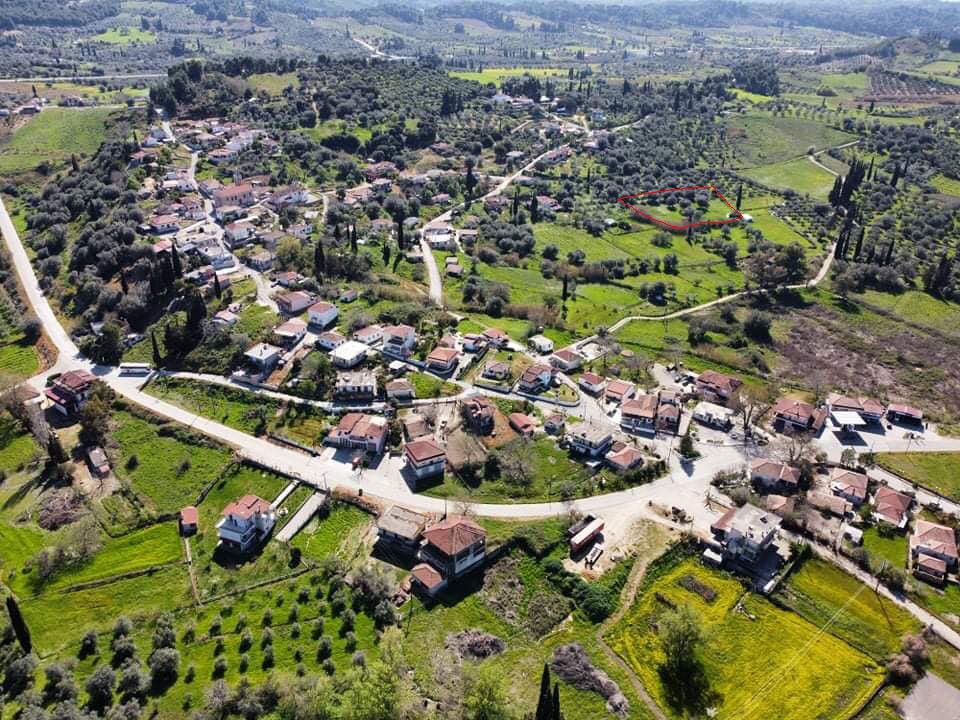 Οικόπεδο 3.604 τ.μ. για πώληση, Ν. Ηλείας, Αμαλιάδα