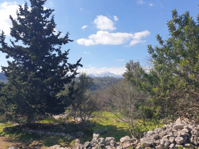 Οικόπεδο 1.208 τ.μ. προς πώληση, Γαβαλοχώρι