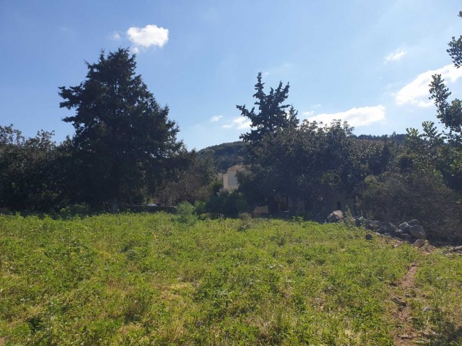 Οικόπεδο 1.208 τ.μ. προς πώληση, Γαβαλοχώρι