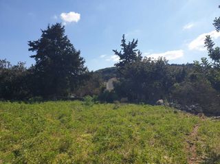 Οικόπεδο 1.208 τ.μ. για πώληση, Ν. Χανίων, Βάμος-thumb-4