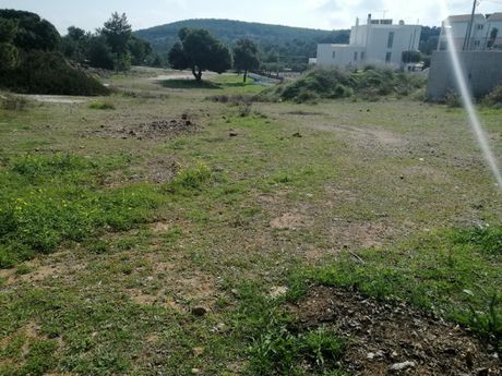 Οικόπεδο 1.299τ.μ. για πώληση-Άγιος κωνσταντίνος