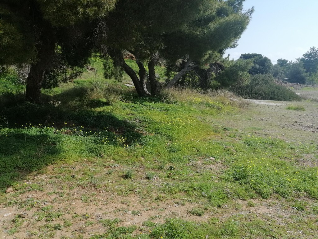 Οικόπεδο 1.299 τ.μ. πρός πώληση, Αττική - Υπόλοιπο, Άγιος Κωνσταντίνος
