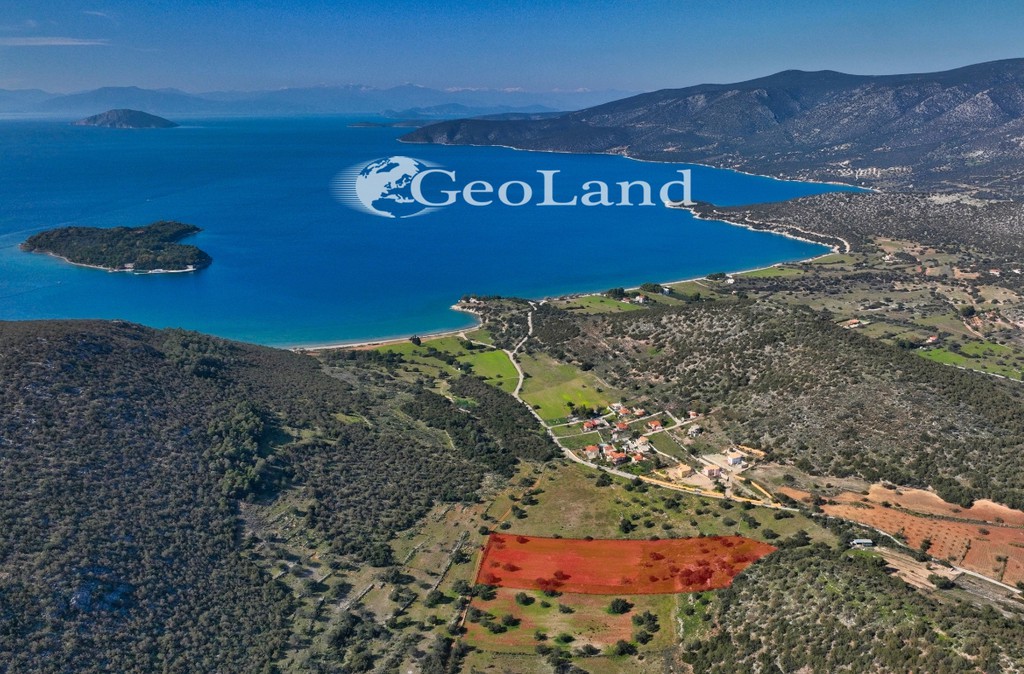Αγροτεμάχια 16.167 τ.μ. πρός πώληση, Αργολίδα, Κρανίδι